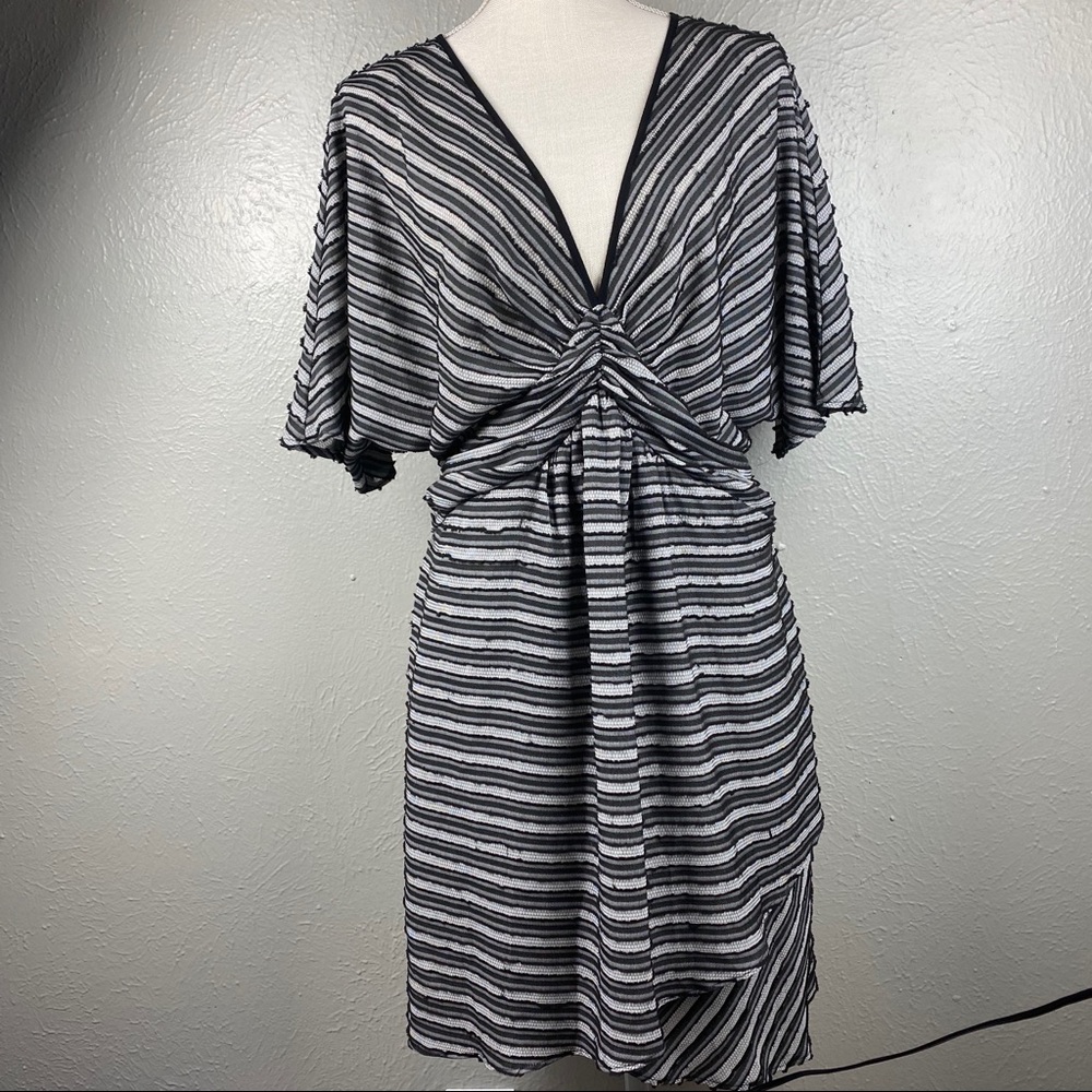 Amadi Anthropologie Stripe Dress